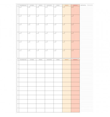 Planer organizer miesiąc + tydzień 84x119cm suchościeralny A0