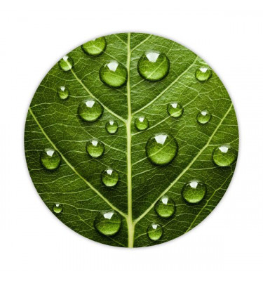 Elastyczna mata pod krzesło na kółkach z grafiką 031 - okrągła 100cm gr. 22mm