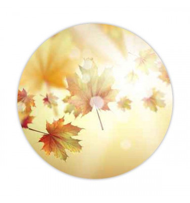 Elastyczna mata średnica 100cm z grafiką 017 - JESIEŃ gr. 22mm