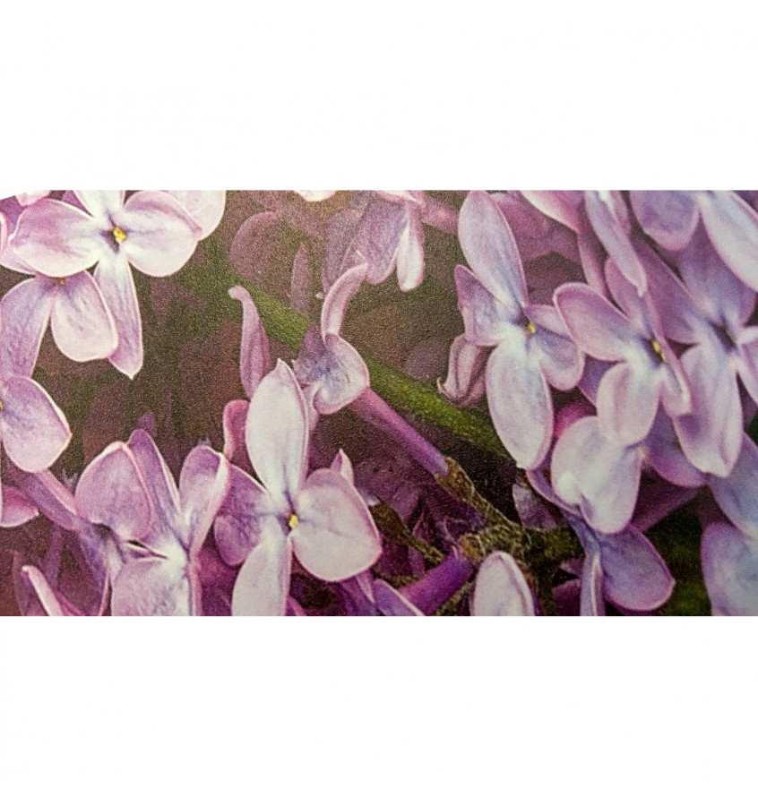 Stojąca osłona ochronna np do salonu manicure  95x95cm z taśmą mocującą wzór BZY