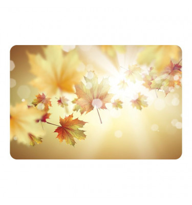 Podkładka biurowa z nadrukiem 017 - 100x140cm  gr. 13mm