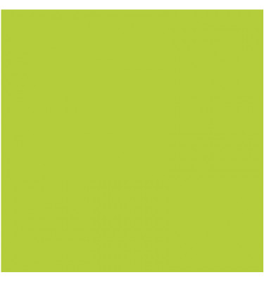 Podkładka 55x55 cm - ZIELONA