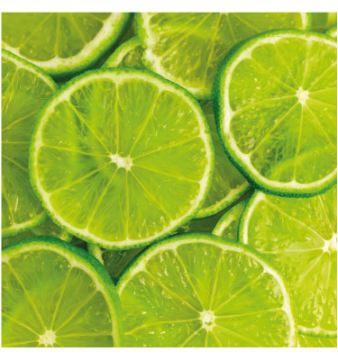 Mata ochronna 55x55 cm - 024 PLASTRY LIMONKI