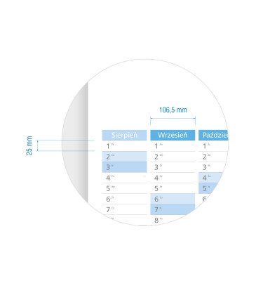 Suchościeralny kalendarz B0 na rok SZKOLNY 2025/26 144x102 cm