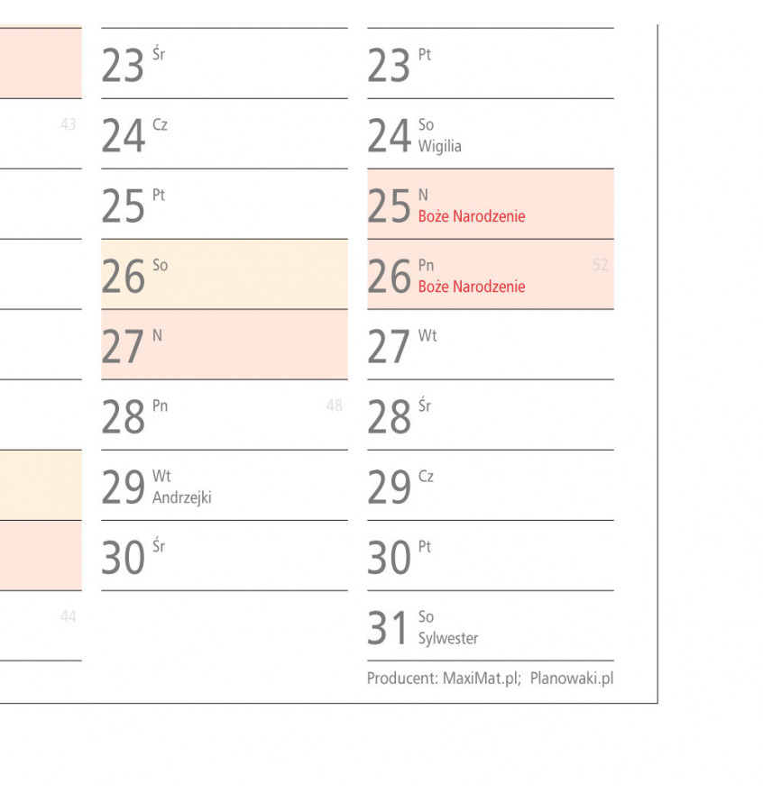 Planer ścienny 2026 138x975 cm kalendarz suchościeralny B0