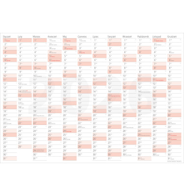 Planer ścienny 2026 138x975 cm kalendarz suchościeralny B0