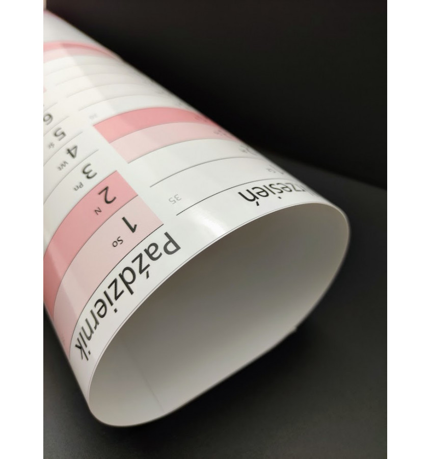 Planer ścienny na 2026 rok suchościeralny kalendarz A0