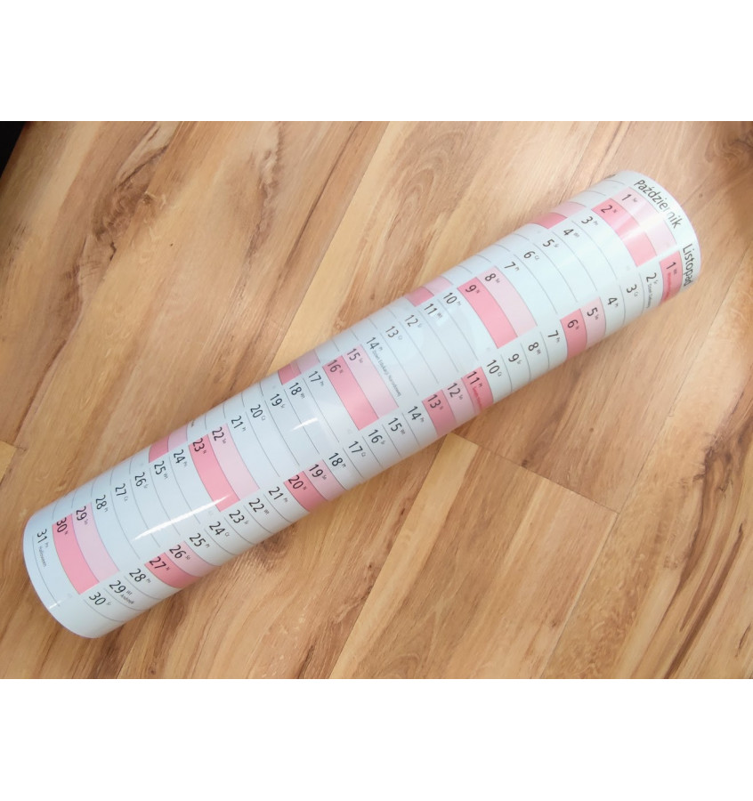 Planer ścienny 2026 format A1 cm kalendarz suchościeralny