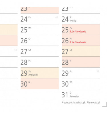 Planer ścienny 2026 format A1 cm kalendarz suchościeralny
