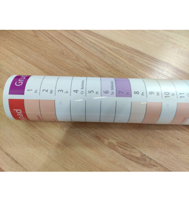 Planer ścienny 2026 A1 84x59cm kalendarz suchościeralny