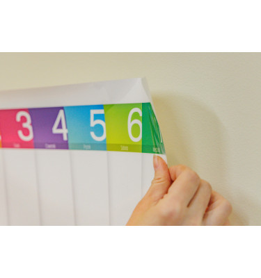 Planer tygodniowy suchościeralny PRZEklejany 46x37cm