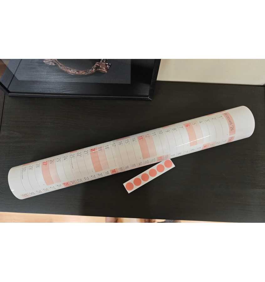 Planer kalendarz SZKOLNY A0 na rok 2026/27 119x84 cm ścieralny