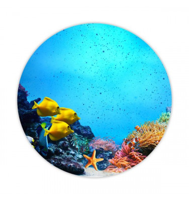 Mata ochronna pod krzesło na kółkach z grafiką 026 - pod fotel obrotowy - okrągła średnica 100cm gr. 13mm